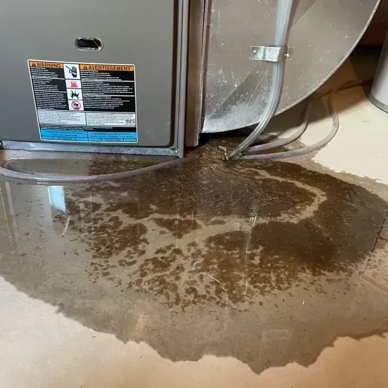 Appliance Leak Cleanup in Hall County, TX